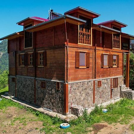 Selin Yasam Evi Apartamento Artvin Exterior foto