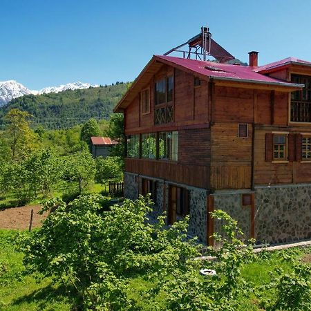 Selin Yasam Evi Apartamento Artvin Exterior foto