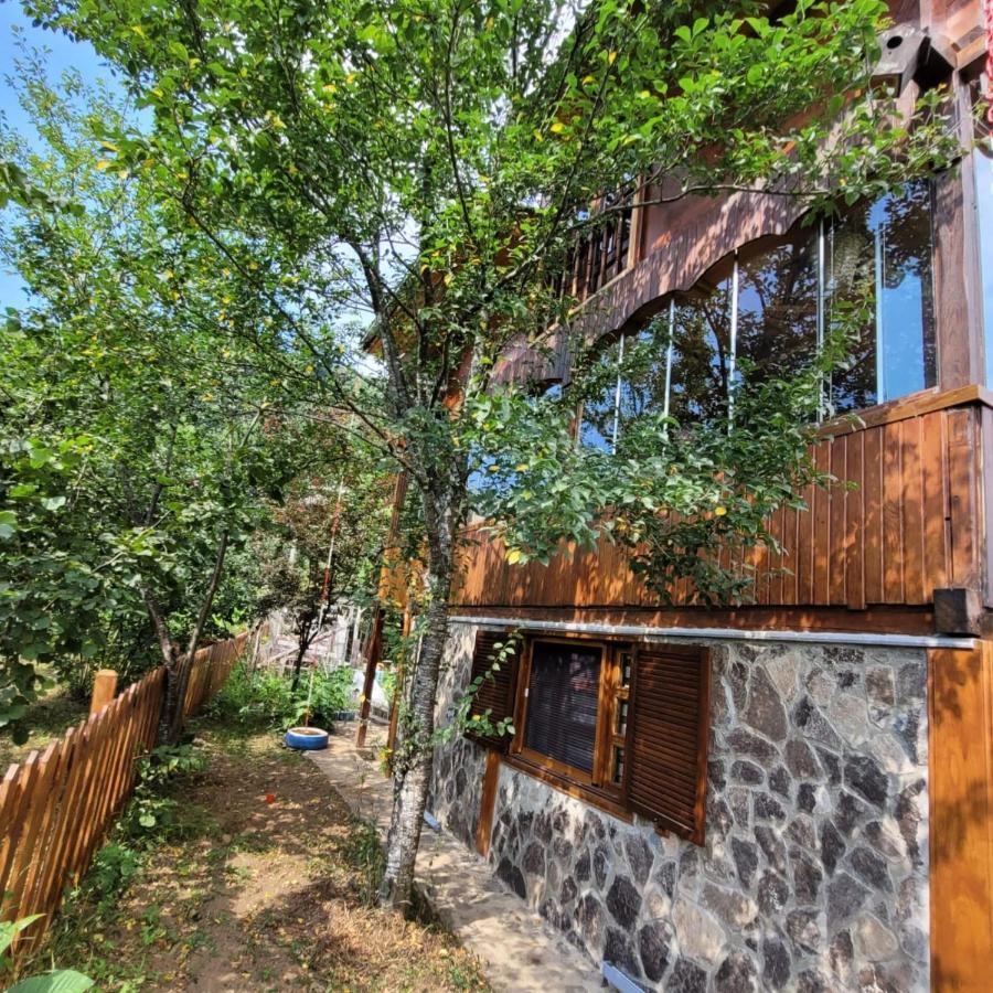 Selin Yasam Evi Apartamento Artvin Exterior foto